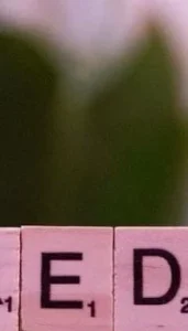 639196383298243180
