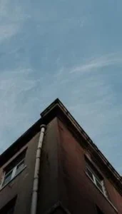 639198567811393278